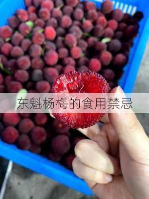东魁杨梅的食用禁忌