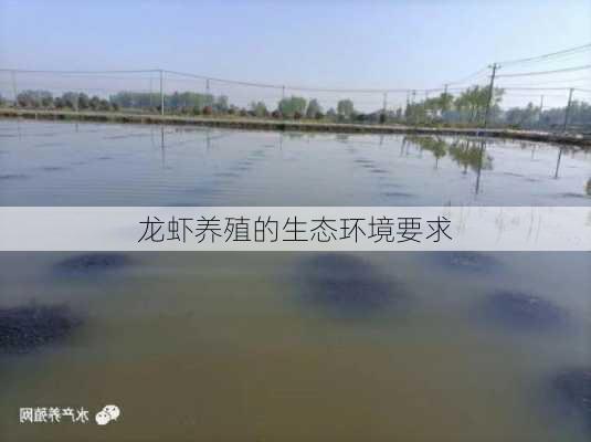 龙虾养殖的生态环境要求