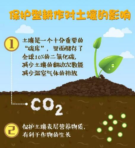保护性耕作如何提高土壤水分利用效率