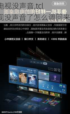tcl电视没声音,tcl电视没声音了怎么调回来