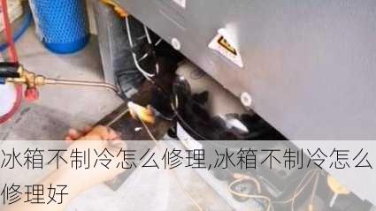 冰箱不制冷怎么修理,冰箱不制冷怎么修理好