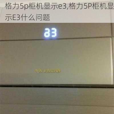 格力5p柜机显示e3,格力5P柜机显示E3什么问题