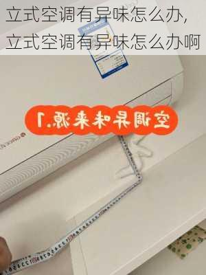 立式空调有异味怎么办,立式空调有异味怎么办啊