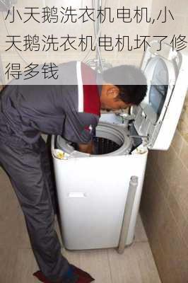 小天鹅洗衣机电机,小天鹅洗衣机电机坏了修得多钱