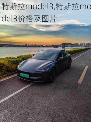 特斯拉model3,特斯拉model3价格及图片