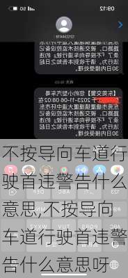 不按导向车道行驶首违警告什么意思,不按导向车道行驶首违警告什么意思呀