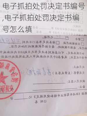 电子抓拍处罚决定书编号,电子抓拍处罚决定书编号怎么填