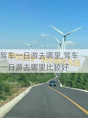 驾车一日游去哪里,驾车一日游去哪里比较好