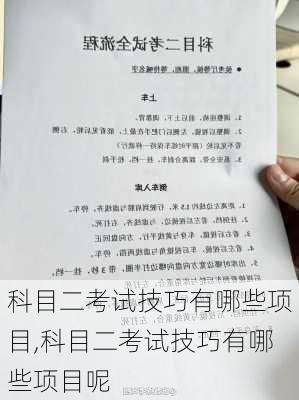 科目二考试技巧有哪些项目,科目二考试技巧有哪些项目呢