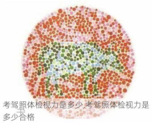 考驾照体检视力是多少,考驾照体检视力是多少合格