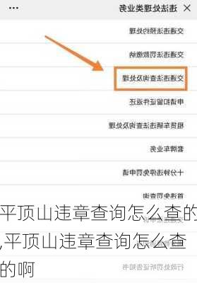 平顶山违章查询怎么查的,平顶山违章查询怎么查的啊