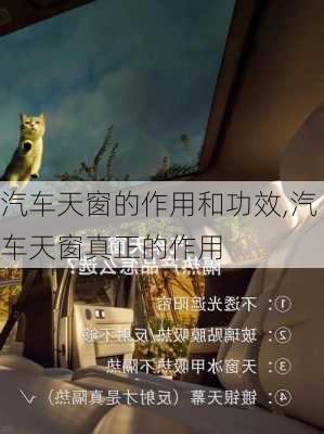 汽车天窗的作用和功效,汽车天窗真正的作用