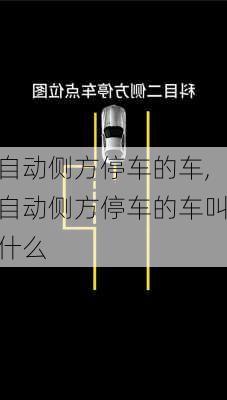 自动侧方停车的车,自动侧方停车的车叫什么