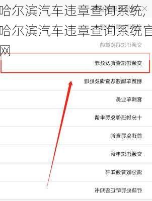 哈尔滨汽车违章查询系统,哈尔滨汽车违章查询系统官网