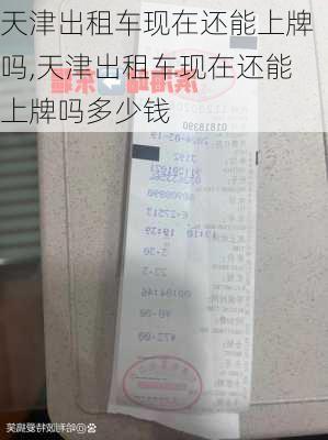 天津出租车现在还能上牌吗,天津出租车现在还能上牌吗多少钱