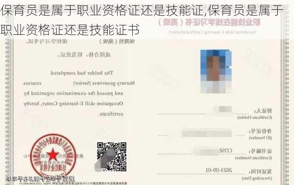 保育员是属于职业资格证还是技能证,保育员是属于职业资格证还是技能证书