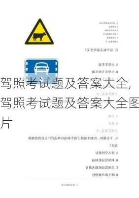 驾照考试题及答案大全,驾照考试题及答案大全图片