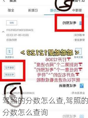 驾照的分数怎么查,驾照的分数怎么查询