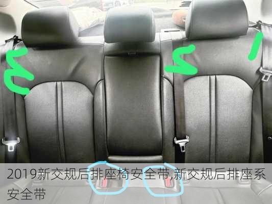 2019新交规后排座椅安全带,新交规后排座系安全带