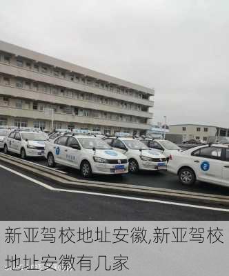 新亚驾校地址安徽,新亚驾校地址安徽有几家