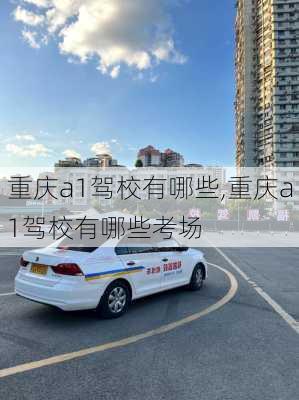 重庆a1驾校有哪些,重庆a1驾校有哪些考场