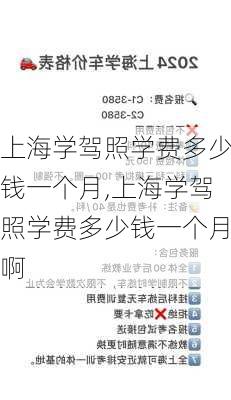 上海学驾照学费多少钱一个月,上海学驾照学费多少钱一个月啊