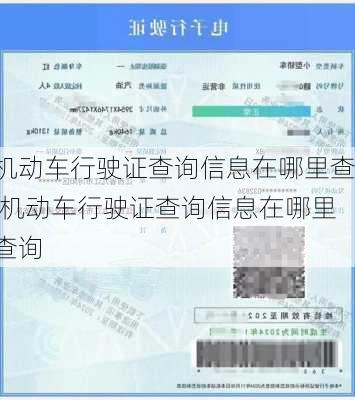机动车行驶证查询信息在哪里查,机动车行驶证查询信息在哪里查询