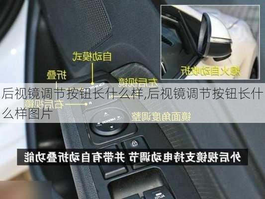 后视镜调节按钮长什么样,后视镜调节按钮长什么样图片