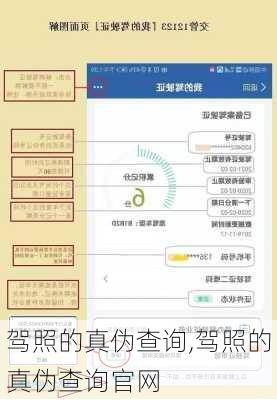 驾照的真伪查询,驾照的真伪查询官网
