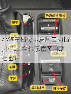 小汽车档位示意图自动挡,小汽车档位示意图自动挡图片