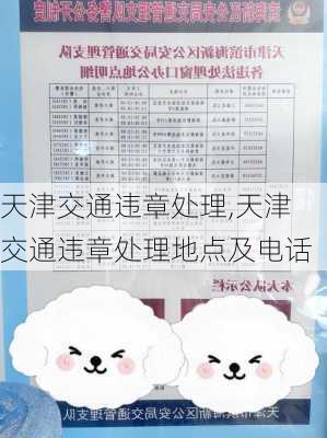 天津交通违章处理,天津交通违章处理地点及电话