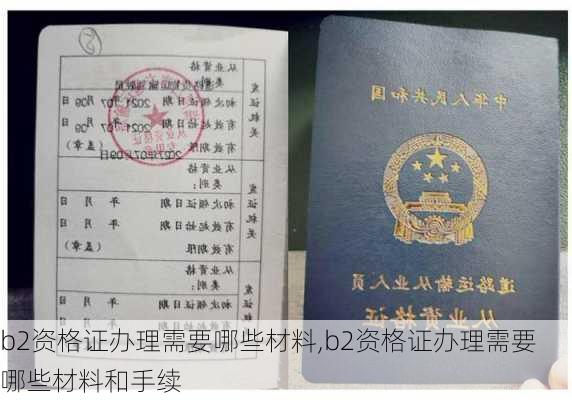 b2资格证办理需要哪些材料,b2资格证办理需要哪些材料和手续