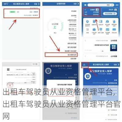 出租车驾驶员从业资格管理平台,出租车驾驶员从业资格管理平台官网