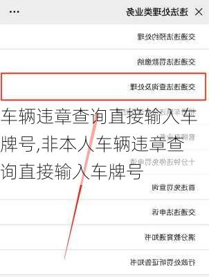 车辆违章查询直接输入车牌号,非本人车辆违章查询直接输入车牌号