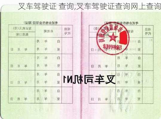 叉车驾驶证 查询,叉车驾驶证查询网上查询