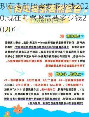 现在考驾照需要多少钱2020,现在考驾照需要多少钱2020年