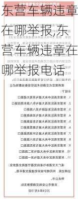 东营车辆违章在哪举报,东营车辆违章在哪举报电话