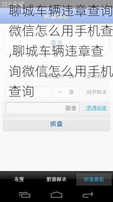 聊城车辆违章查询微信怎么用手机查,聊城车辆违章查询微信怎么用手机查询