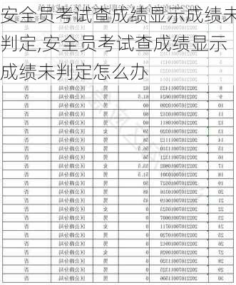 安全员考试查成绩显示成绩未判定,安全员考试查成绩显示成绩未判定怎么办