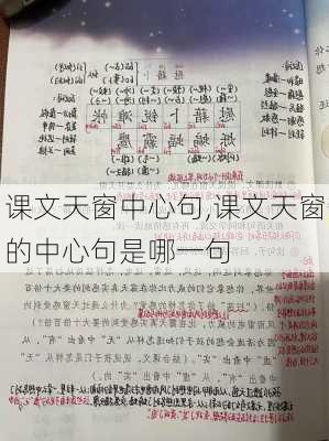 课文天窗中心句,课文天窗的中心句是哪一句