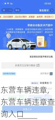 东营车辆违章,东营车辆违章查询入口