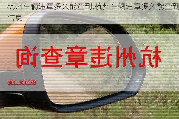 杭州车辆违章多久能查到,杭州车辆违章多久能查到信息