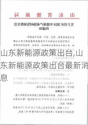 山东新能源政策出台,山东新能源政策出台最新消息