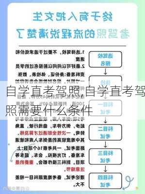 自学直考驾照,自学直考驾照需要什么条件