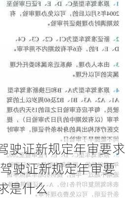 驾驶证新规定年审要求,驾驶证新规定年审要求是什么