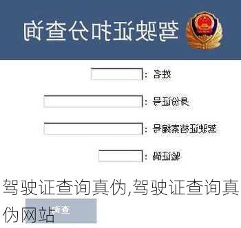 驾驶证查询真伪,驾驶证查询真伪网站