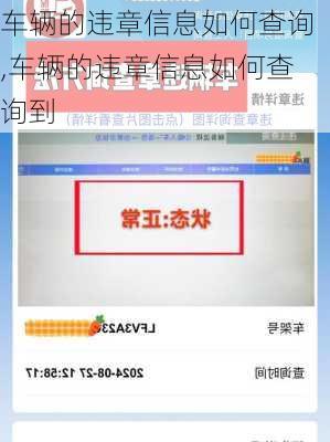 车辆的违章信息如何查询,车辆的违章信息如何查询到