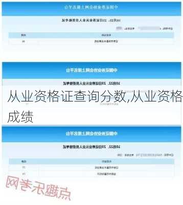 从业资格证查询分数,从业资格成绩