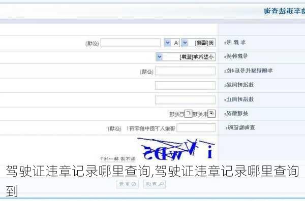 驾驶证违章记录哪里查询,驾驶证违章记录哪里查询到