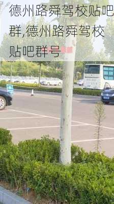 德州路舜驾校贴吧群,德州路舜驾校贴吧群号